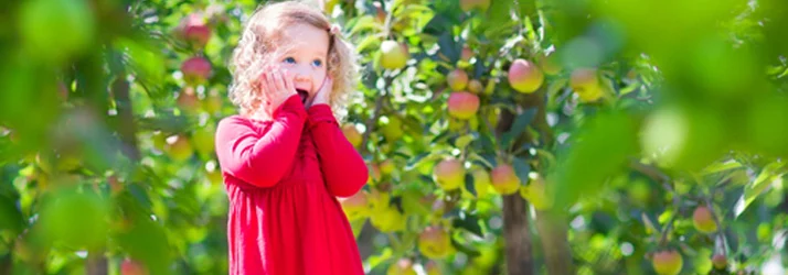 What is Subluxation? And Why It Might Be the Key to Your Child’s Health in Virginia Beach VA