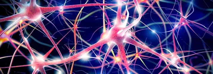 When’s The Best Time For Nervous System Healing in Virginia Beach VA?